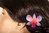 Dendrobium Hairclip